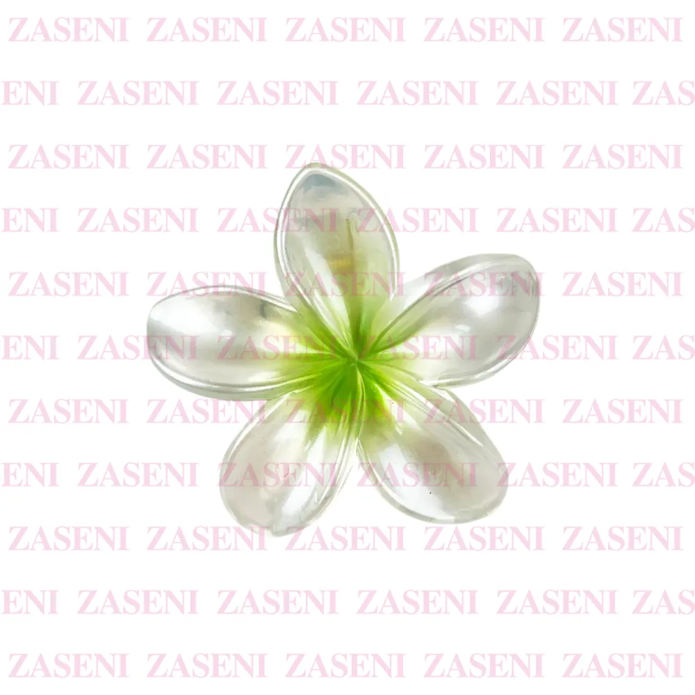 ZASENI