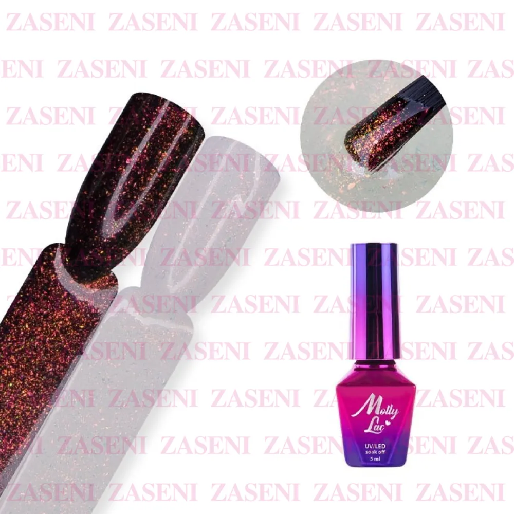 ZASENI