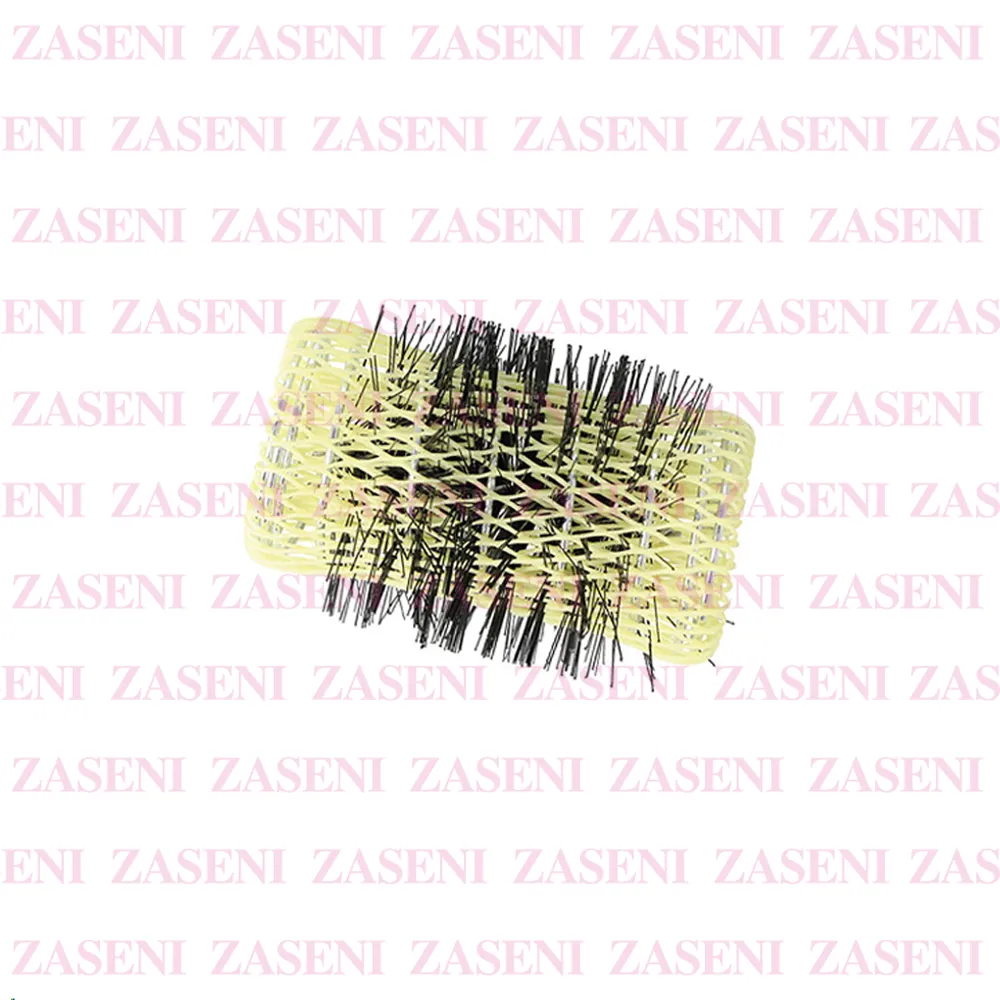 ZASENI