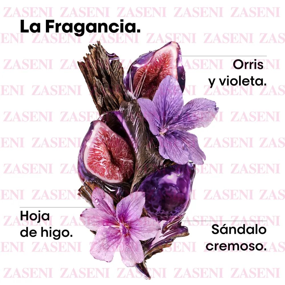 ZASENI