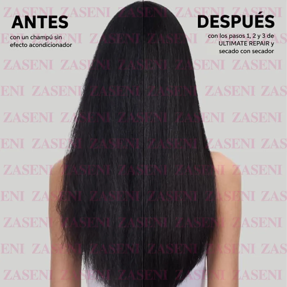 ZASENI
