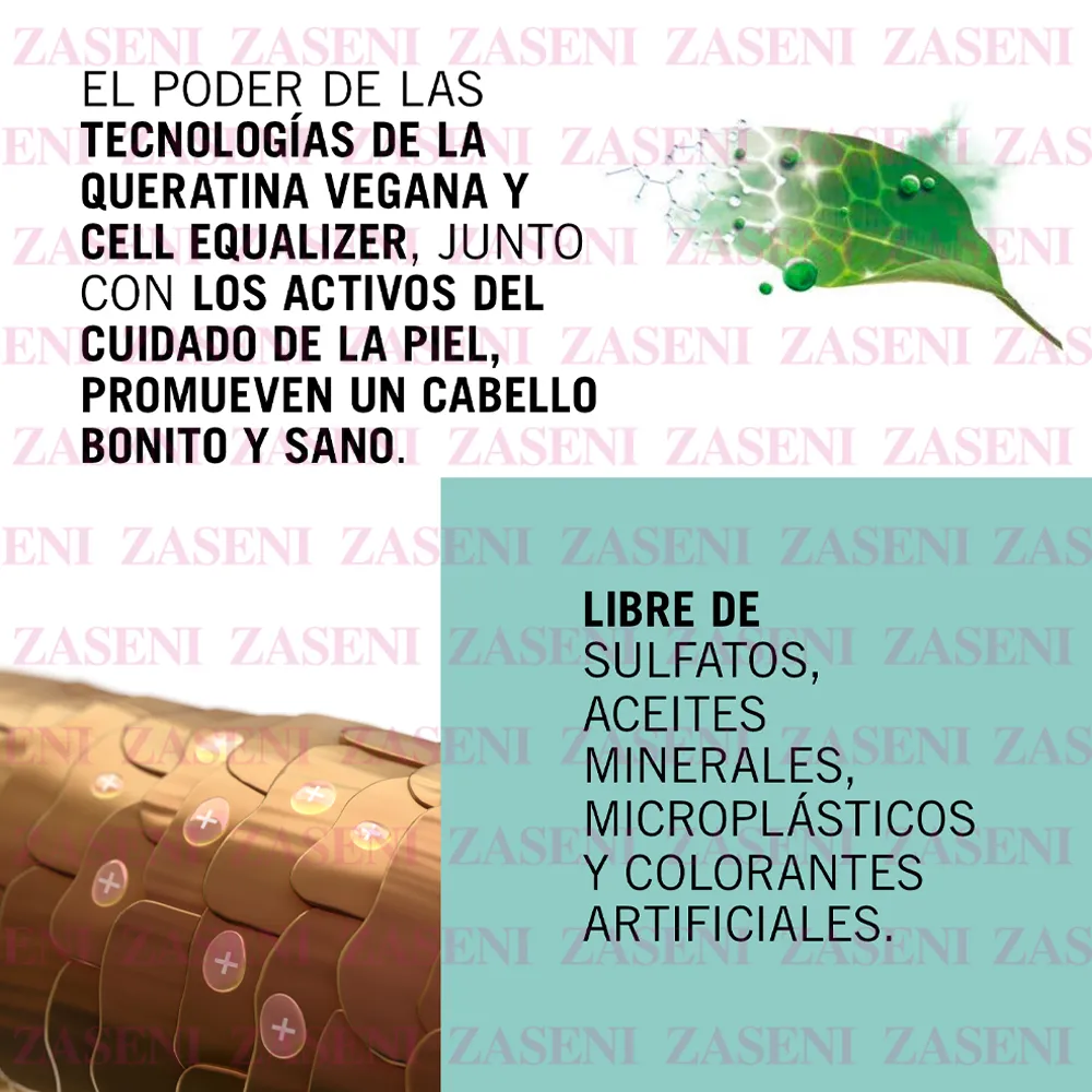 ZASENI