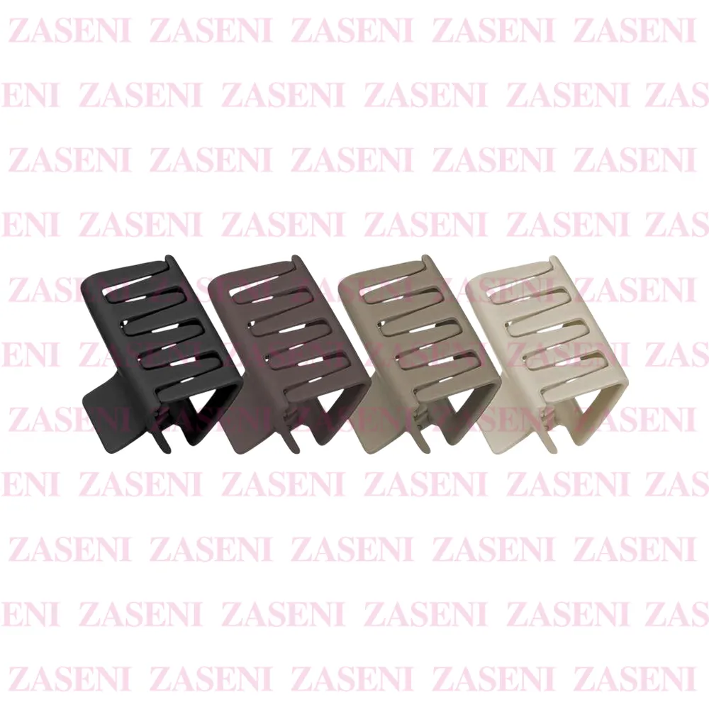ZASENI