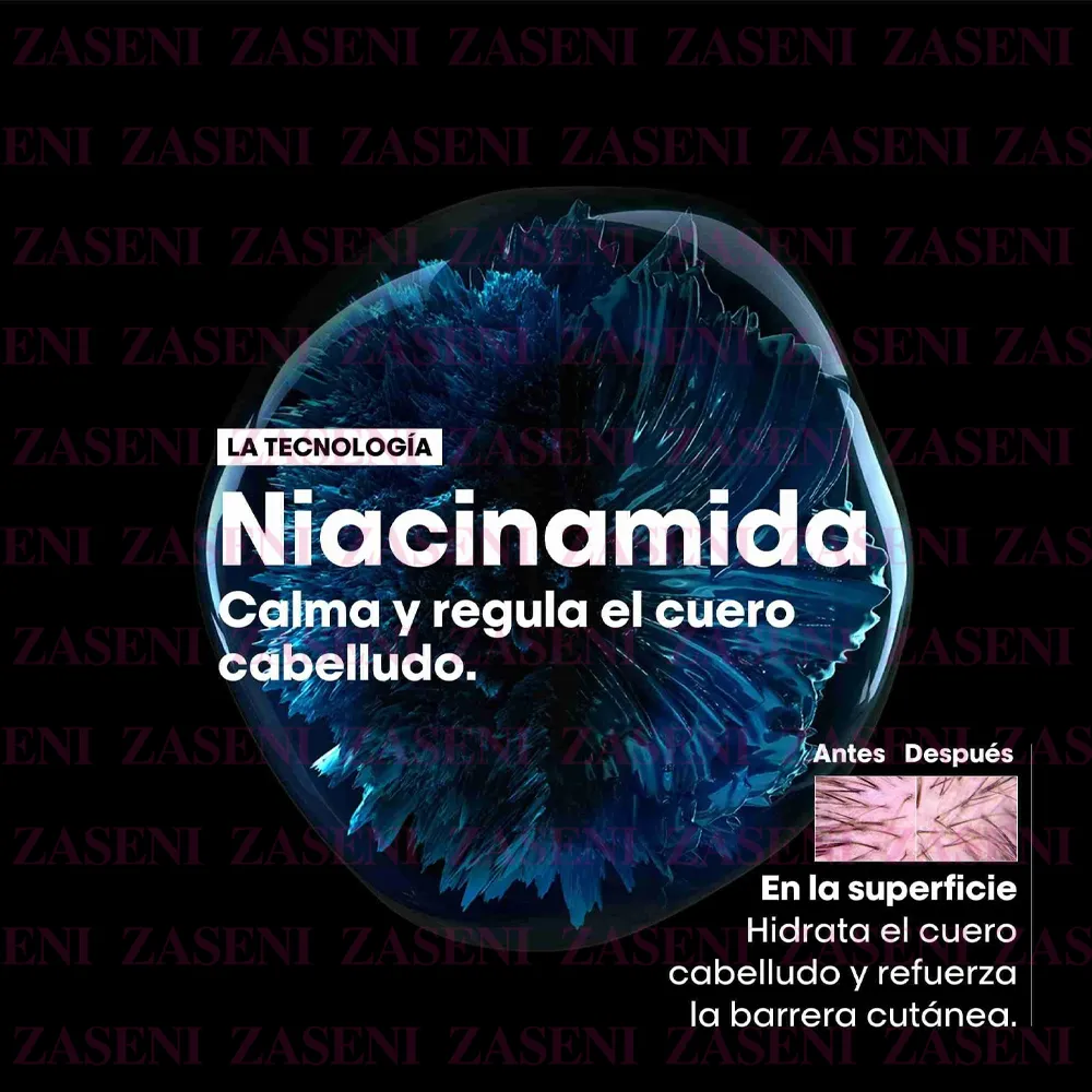 ZASENI