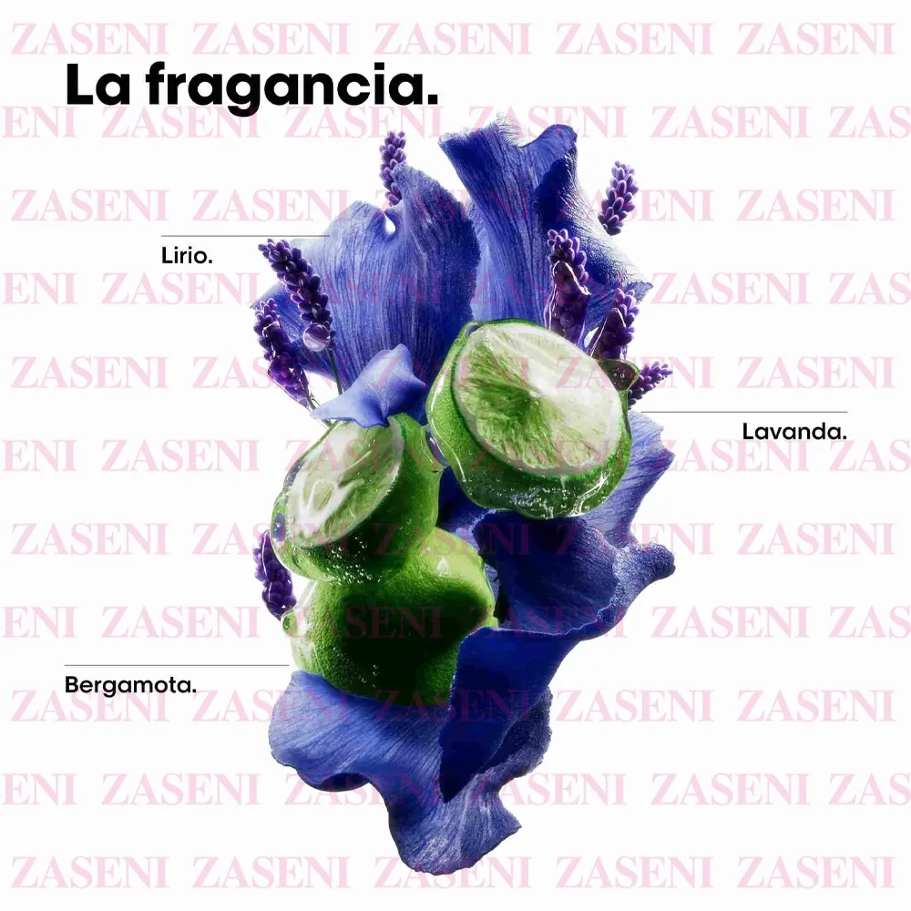 ZASENI