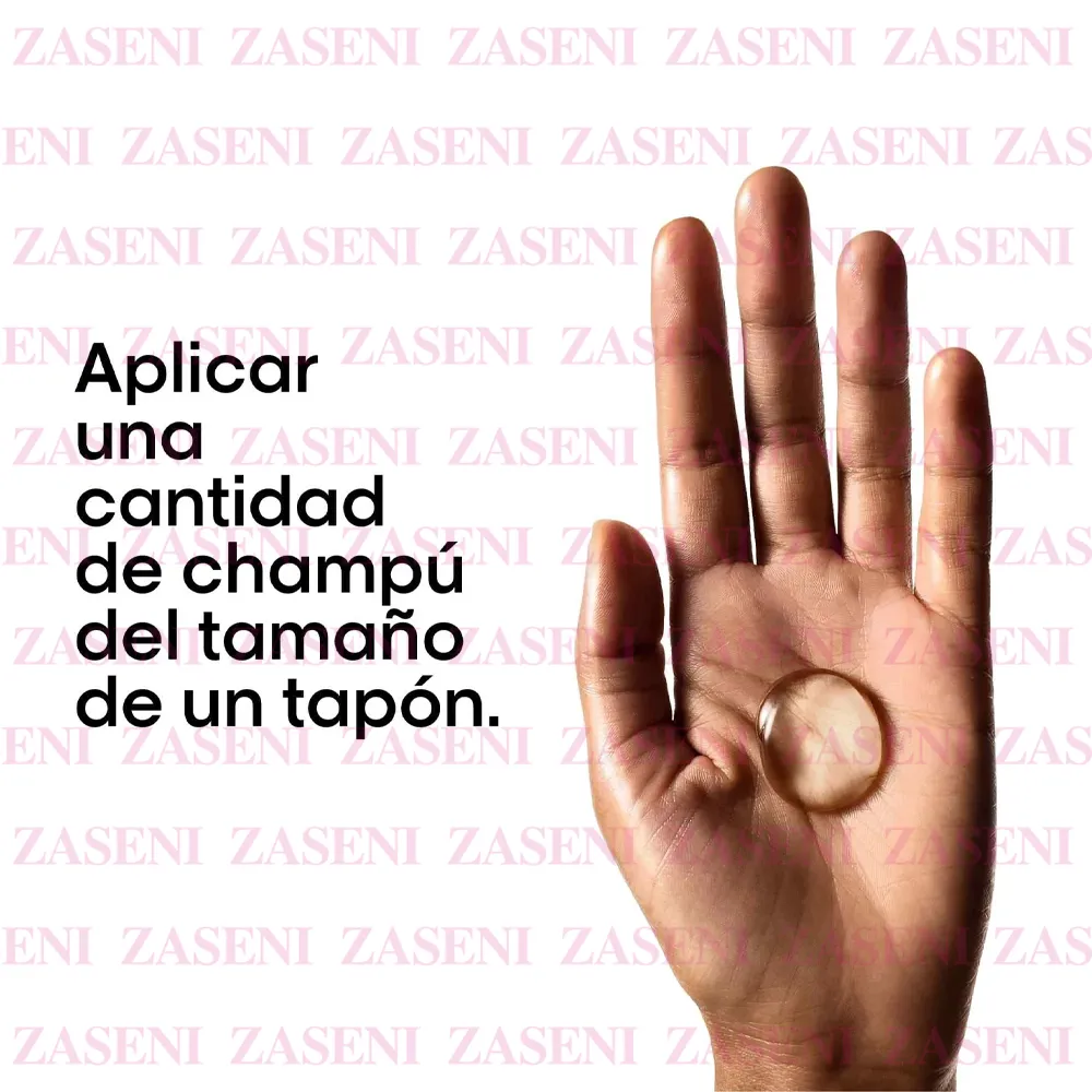 ZASENI
