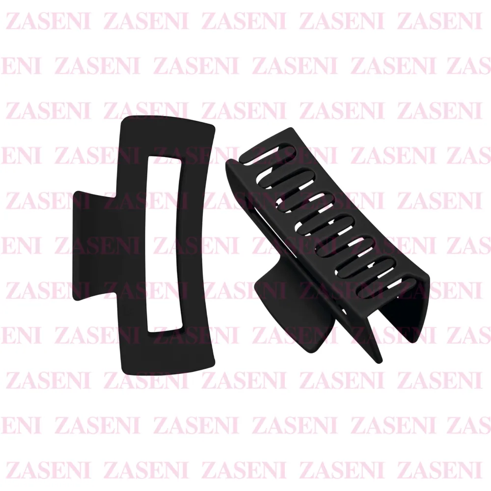 ZASENI