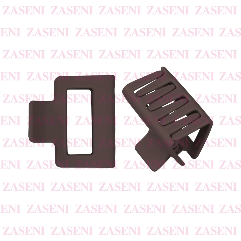 ZASENI