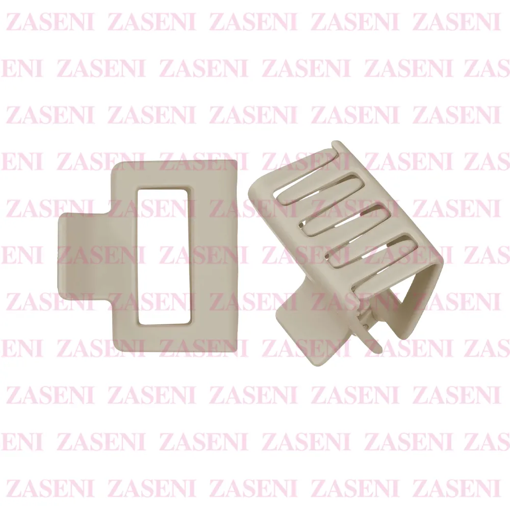 ZASENI