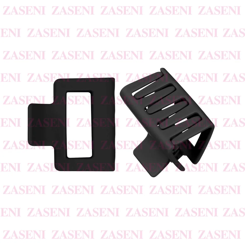 ZASENI