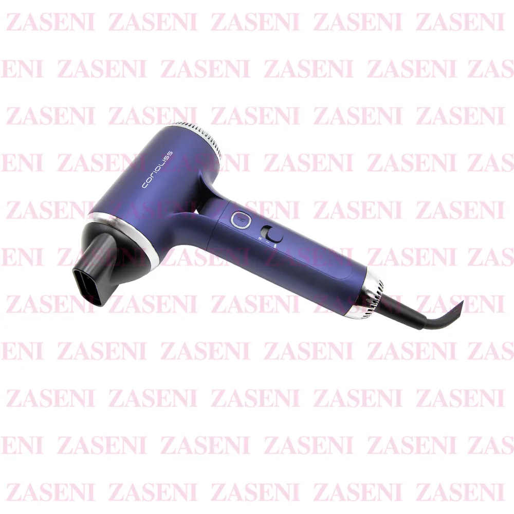 ZASENI